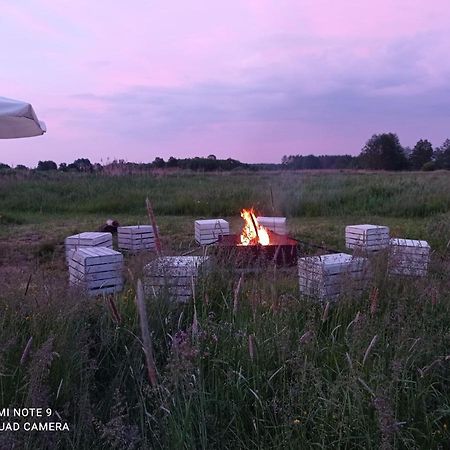 Brochów Strefa Kampinosヴィラ エクステリア 写真