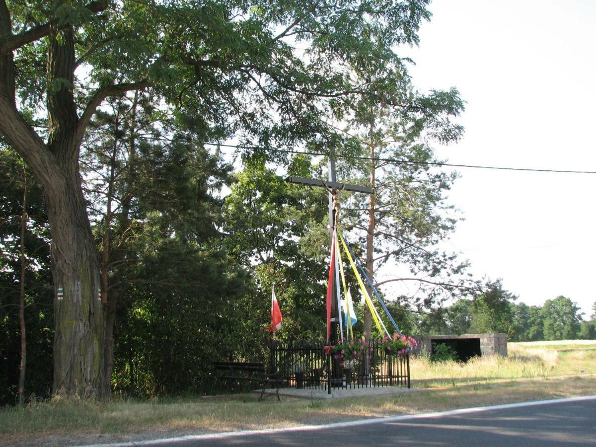 Brochów Strefa Kampinosヴィラ エクステリア 写真