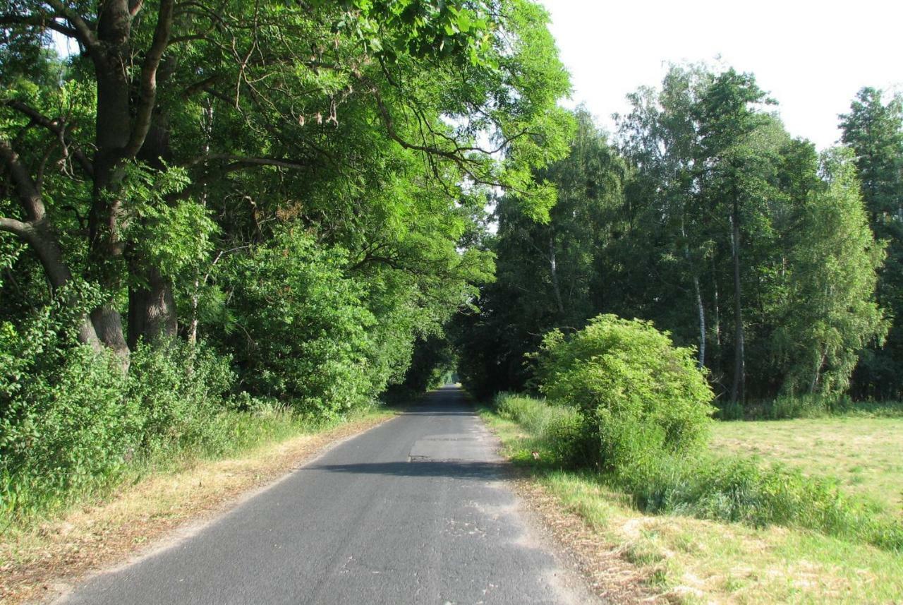 Brochów Strefa Kampinosヴィラ エクステリア 写真