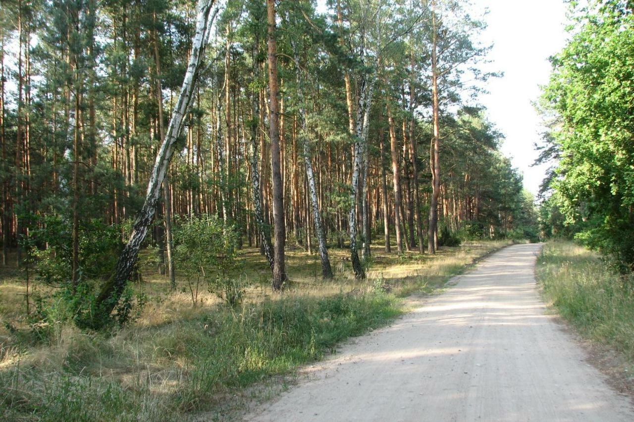Brochów Strefa Kampinosヴィラ エクステリア 写真