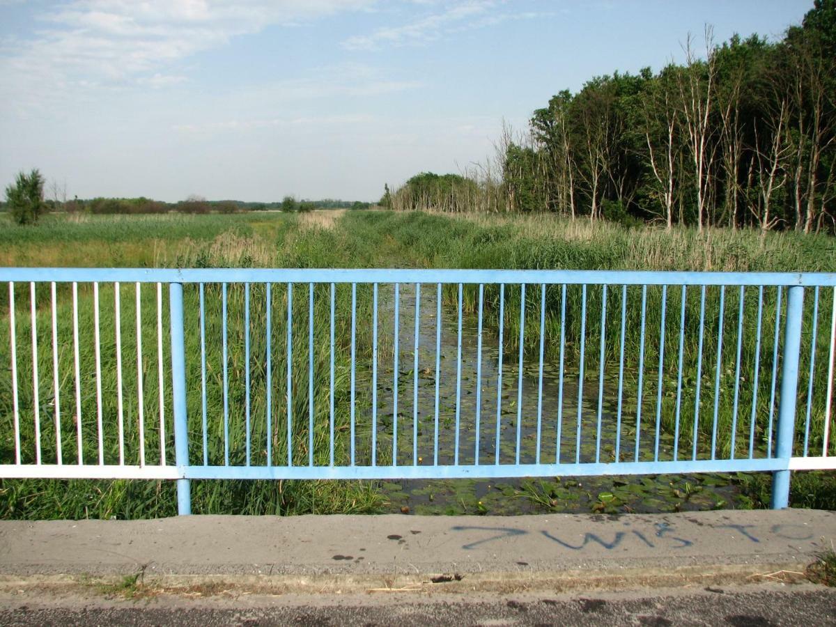Brochów Strefa Kampinosヴィラ エクステリア 写真