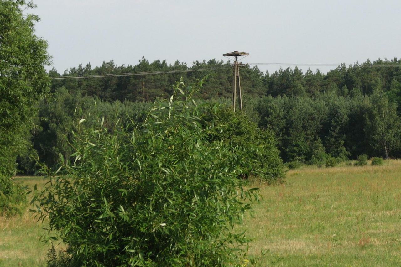 Brochów Strefa Kampinosヴィラ エクステリア 写真