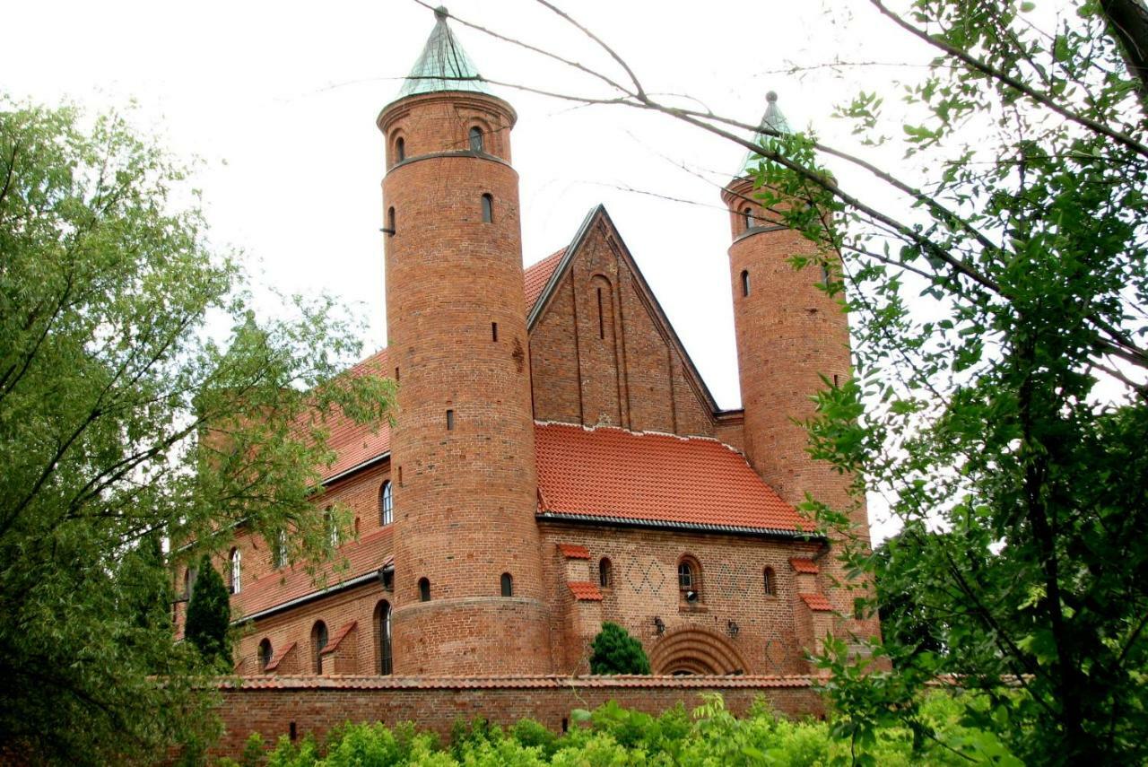 Brochów Strefa Kampinosヴィラ エクステリア 写真